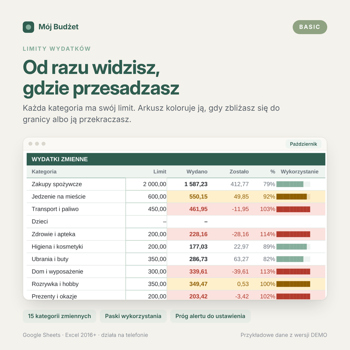 Mój Budżet Basic — arkusz budżetu domowego na cały rok (Google Sheets i Excel)
